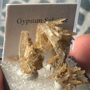 Gypsum Selenite crystal cluster specimen in a thumbnail box